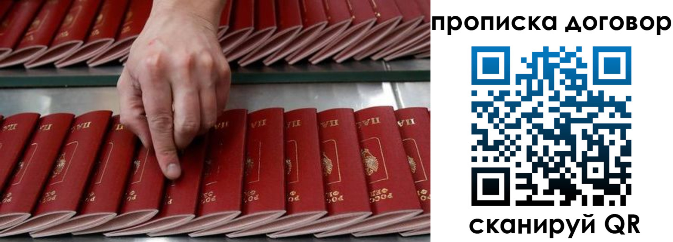 прописка 2025 в Жуковском